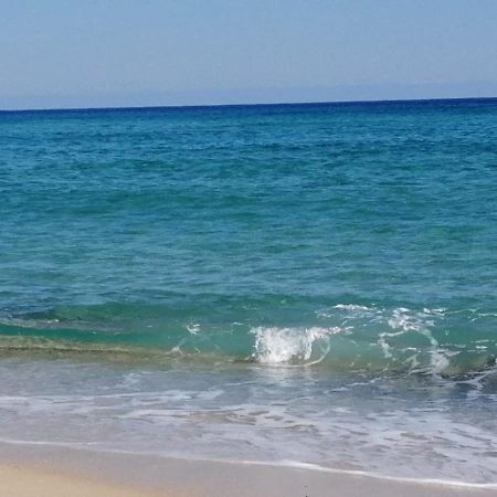 Home Beach Costa Rey コスタ・レイ エクステリア 写真