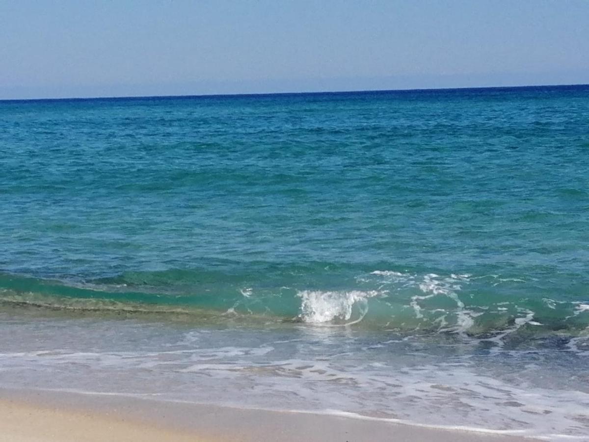 Home Beach Costa Rey コスタ・レイ エクステリア 写真
